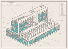 Inside Information: MiniMoog